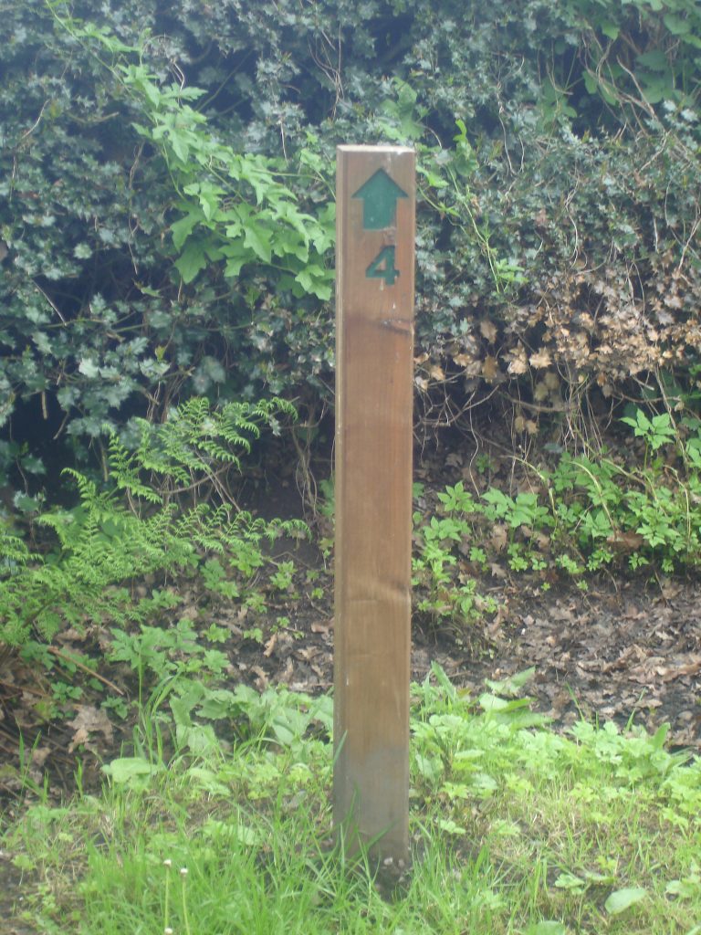 Routed arrow & number on a timber post, waymarking visitors